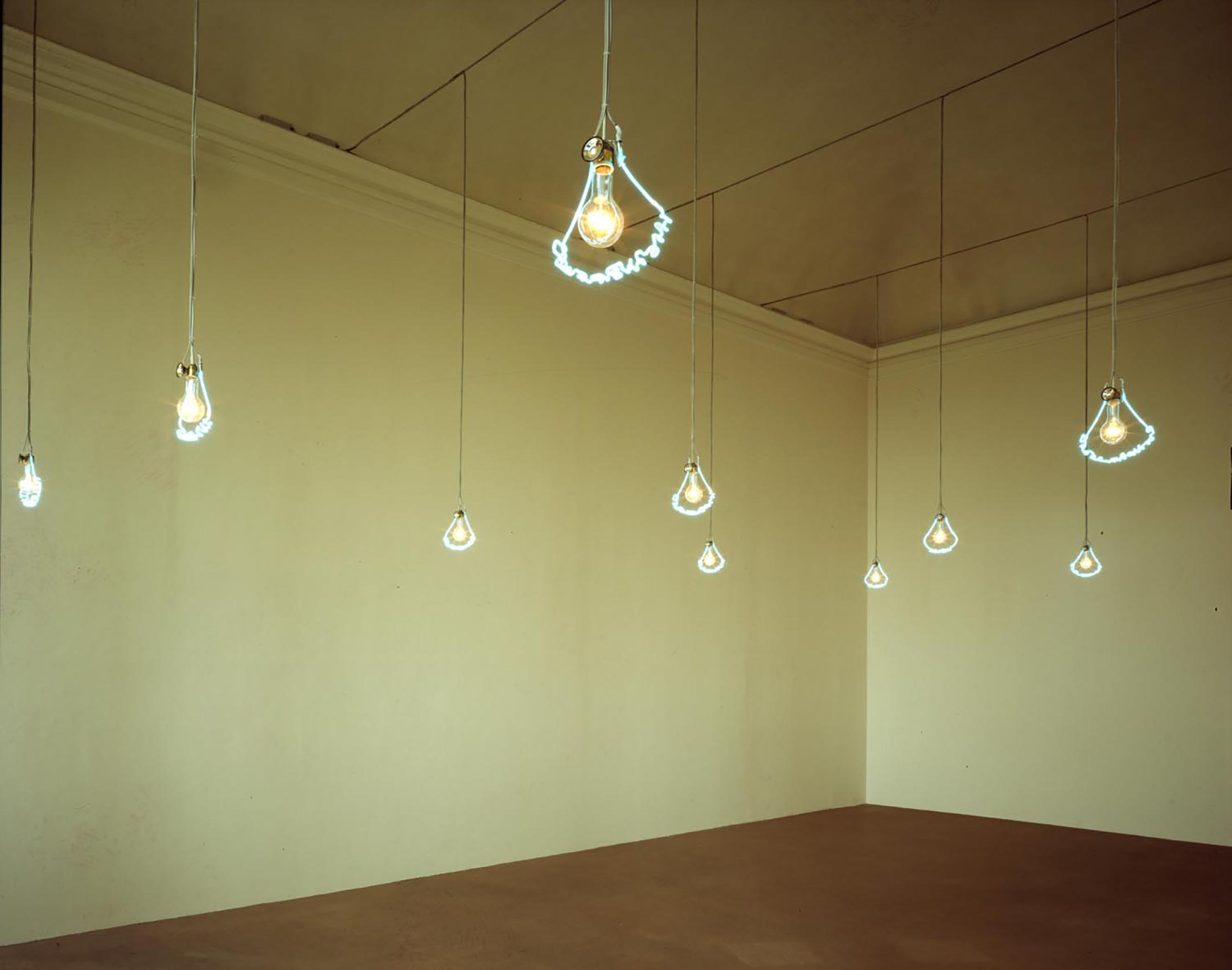 Pier Paolo Calzolari, Untitled (mortificatio, imperfectio, putrefatio, combustio, incineratio, satisfactio, confirmatio, compositio, inventio, dispositio, actio, mneme), 1970-71